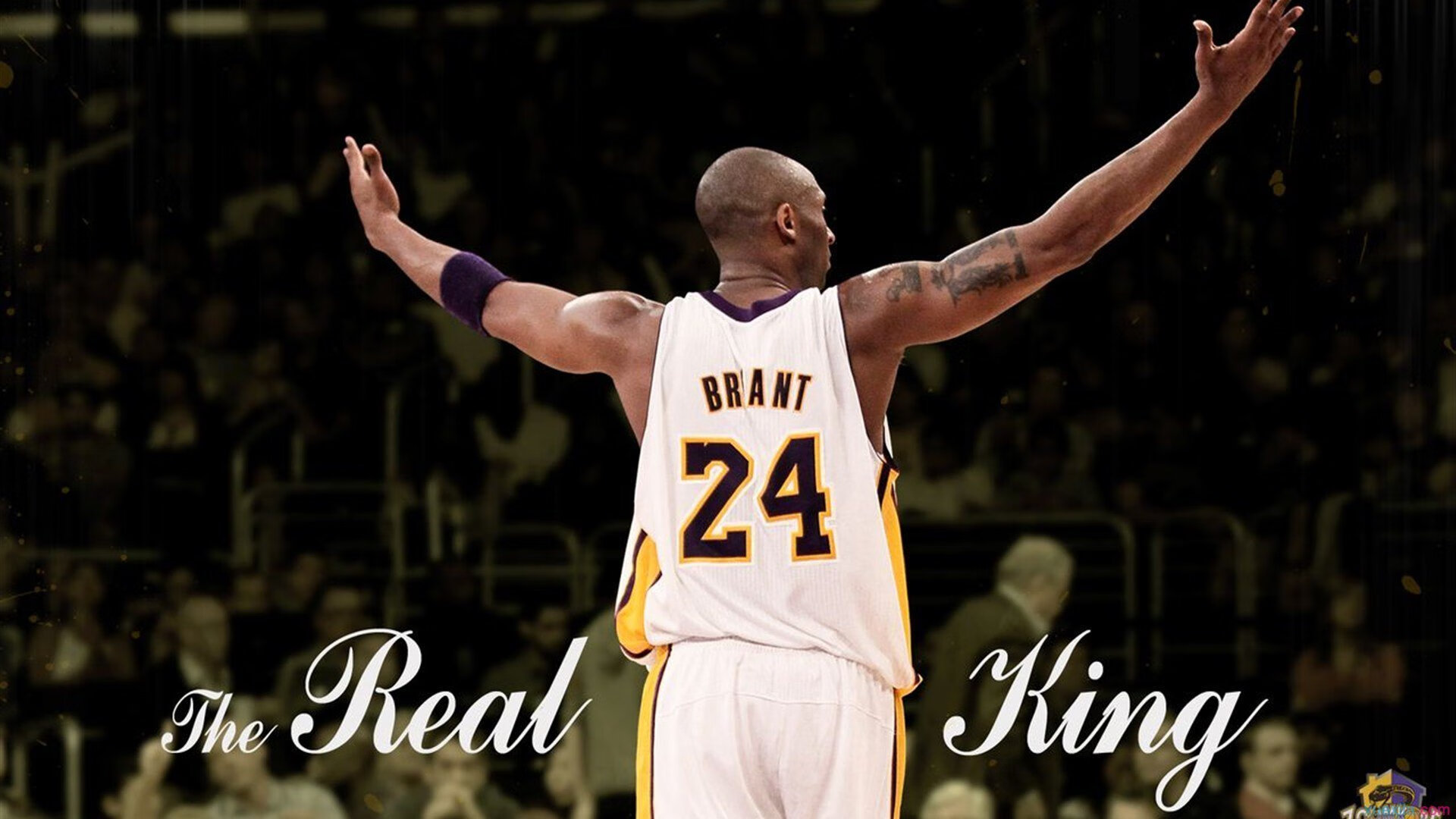 小因扎利奇新秀 Dalil Hadi 拓展海外发展空间，小因扎吉的战术安排