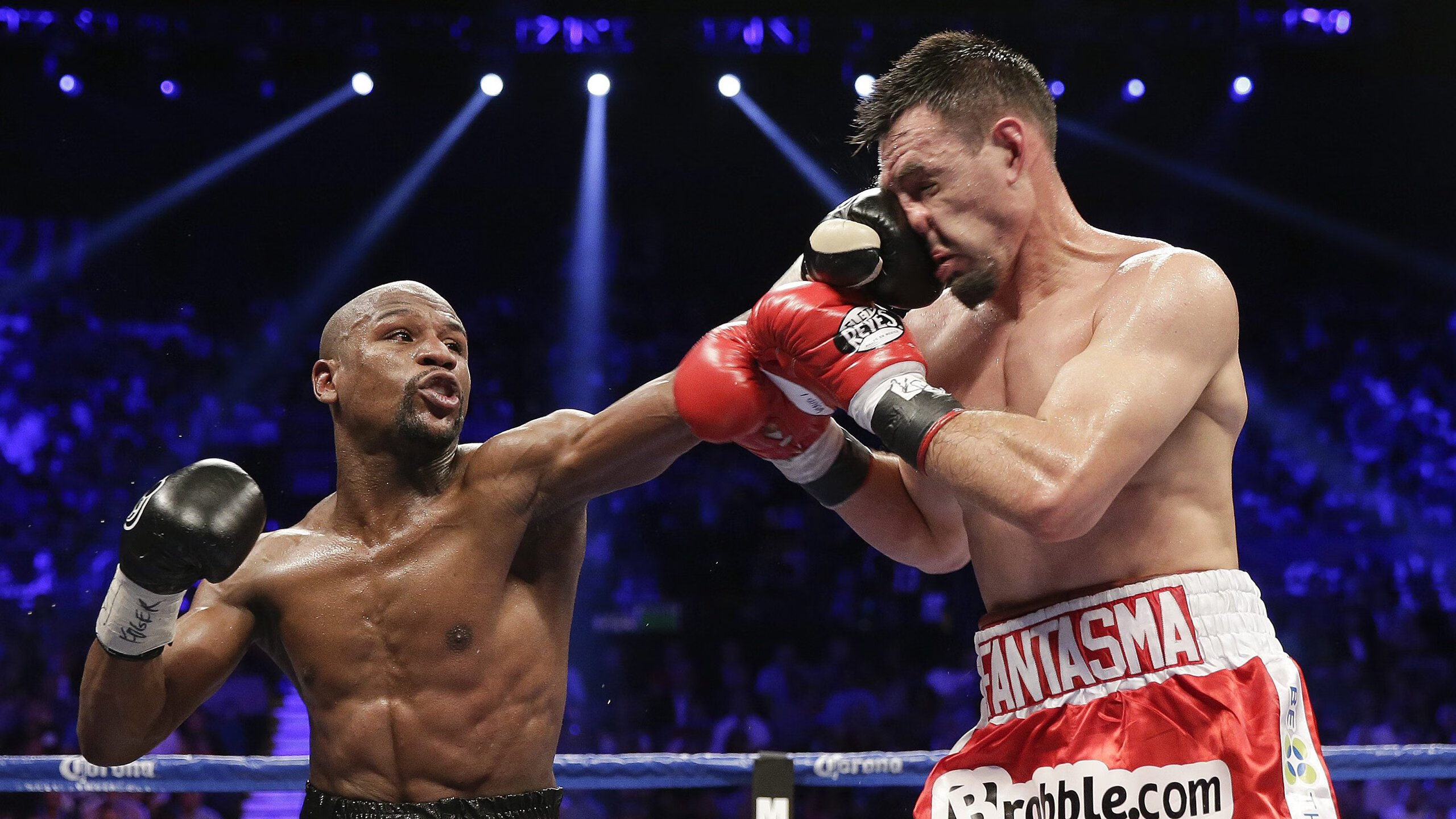 星空体育在线官网-《Rookie：稳步前行，以实力登顶》